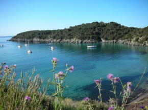 Hotel Alma Marina Di Campo